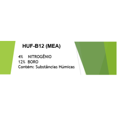 Boro (MEA) Humic + Nitrogenio - 1 Litro	