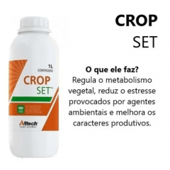 Precursor Hormonal Crop Set - 1 Litro	