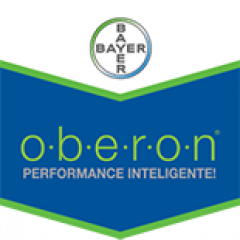 Oberon Bayer Inseticida Acaricida 1 Litro